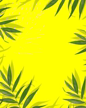 Frame of tropical palm leaves with shadows on sunny yellow background photo