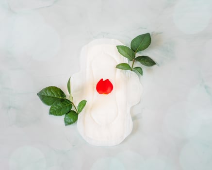 Menstrual, natural pad with a red rose petal, like a drop of blood and green leaves photo