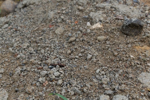 photography of rocky, sandy soil background texture photo