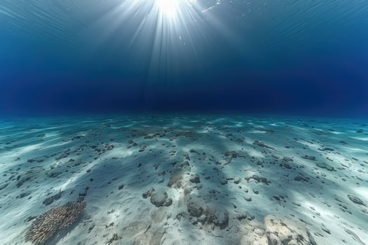 Deep sea underwater professional advertising food photography photo