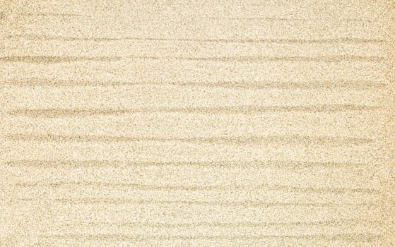 Light Sand Background, Flat Lay photo