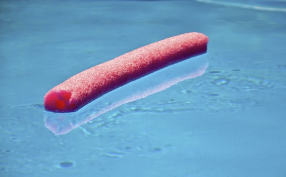 Pool Noodle closeup photo