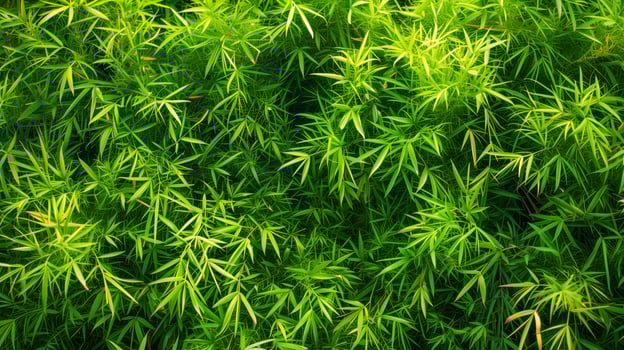 Close-up of lush green foliage photo