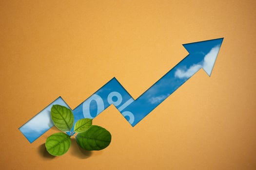 Zero Carbon Emission Concept, Parallel Growth between Business and Environmental. Respnsible Business and ESG. photo