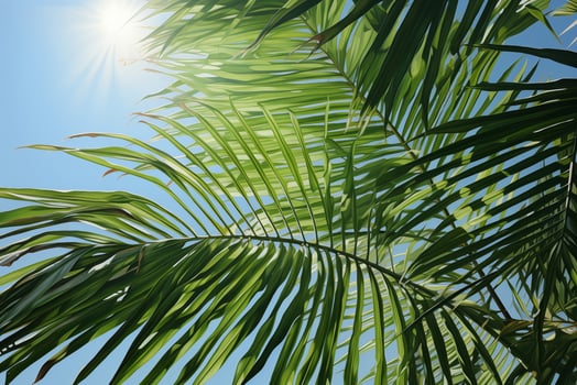 Tropical palm tree with green leaves against a blue sky photo