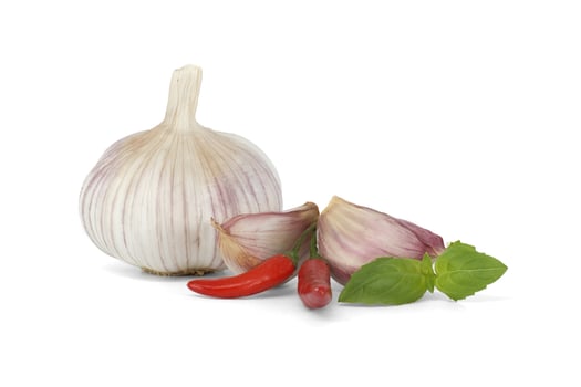 Culinary ingredients herbs and spices on white background photo