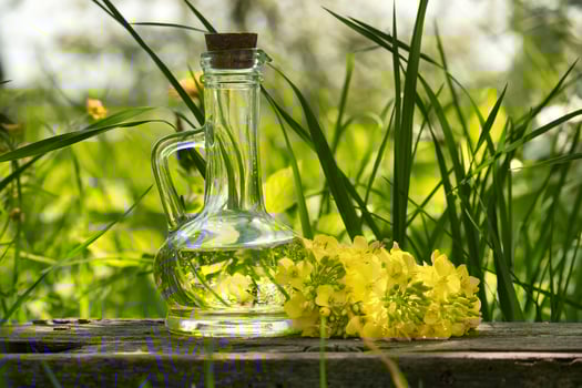 Transparent glass jug with oil over blurred green nature background photo