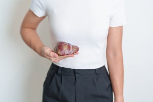 Woman holding human Liver anatomy model. Liver cancer and Tumor, Jaundice, Viral Hepatitis A, B, C, D, E, Cirrhosis, Failure, Enlarged, Hepatic Encephalopathy, Ascites Fluid in Belly and health photo