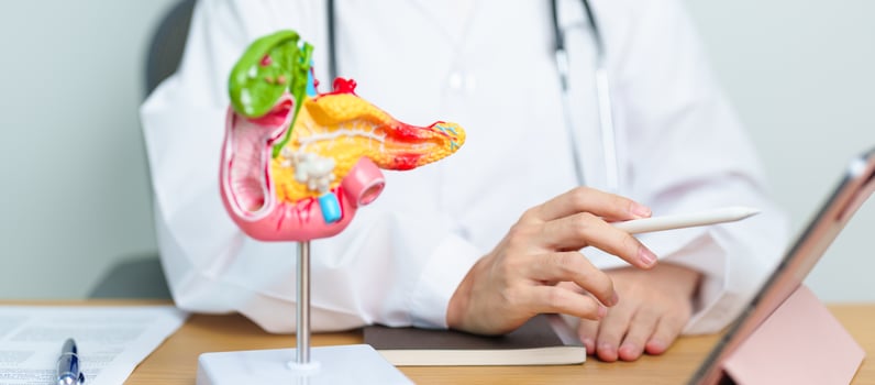Doctor with human Pancreatitis anatomy model with Pancreas, Gallbladder, Bile Duct, Duodenum, Small intestine and tablet. Pancreatic cancer, acute pancreatitis and Digestive system photo