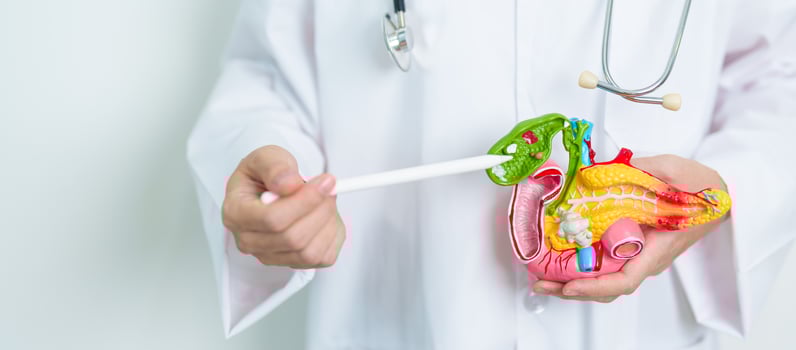 Doctor with human Pancreatitis anatomy model with Pancreas, Gallbladder, Bile Duct, Duodenum, Small intestine. Pancreatic cancer, Acute and Chronic pancreatitis, Digestive system and Health concept photo