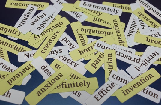 English vocabulary cards on blue board photo