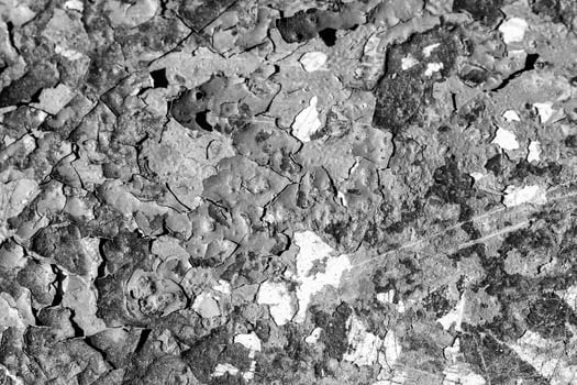 Texture of peeling paint from metal. photo