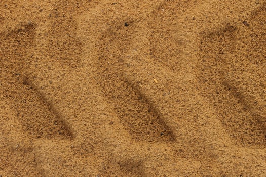 Tire Track on the ground photo