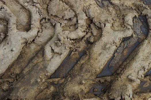 Tire Track on the ground photo