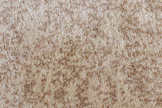 Carpet texture macro. photo