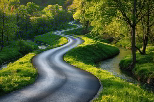 the river along with a road going through the border of the road professional photography photo