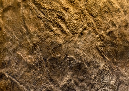 Close-up of Dinosaur Skin Texture photo