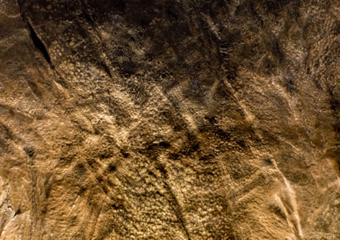 Close-up of Dinosaur Skin Texture photo