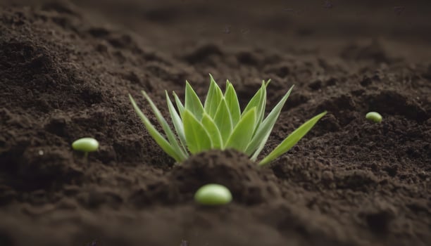 A Symphony of Life Seedlings Singing Natures Tune photo