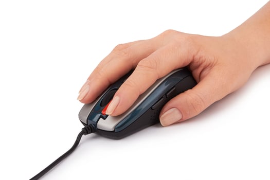 computer mouse on white photo
