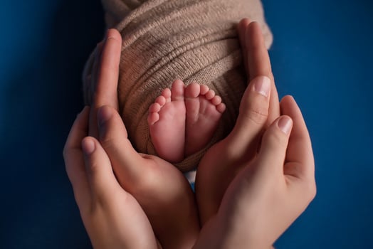 Parent holding in the hands feet of newborn baby. photo