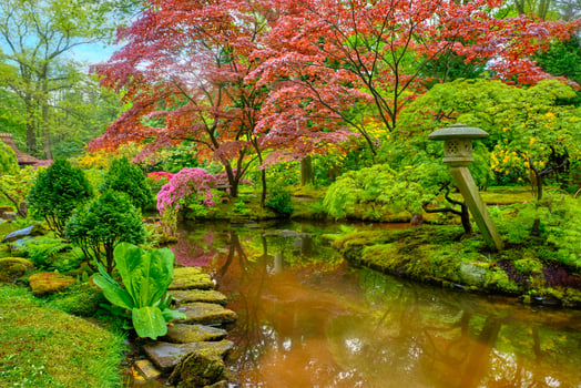 Japanese garden, Park Clingendael, The Hague, Netherlands photo