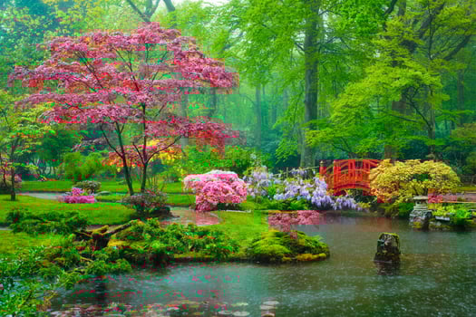 Japanese garden, Park Clingendael, The Hague, Netherlands photo