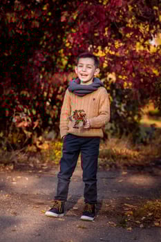 Handsome stylish boy standing in autumn park photo