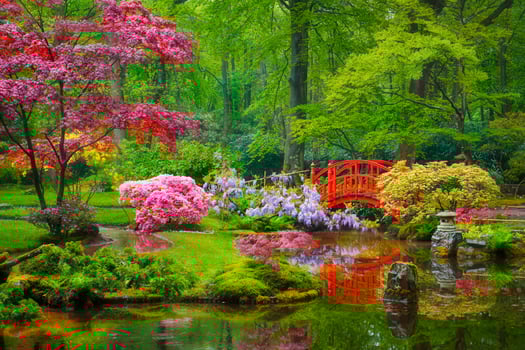 Japanese garden, Park Clingendael, The Hague, Netherlands photo