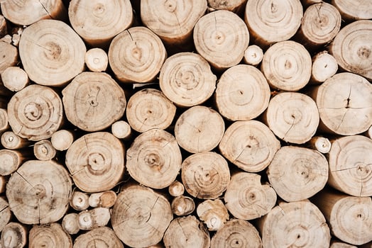 Close-Up of Textured Brown Wood Surface Background photo