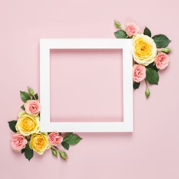 White paper Frame of beautiful roses on pink background. Minimal holiday concept with copy space. Woman day, Valentines day layout photo