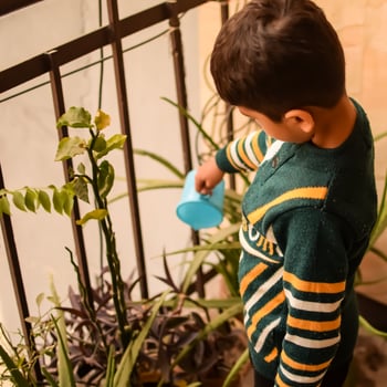Cute 5 year old Asian little boy is watering the plant in the pots located at house balcony, Love of sweet little boy for the mother nature during watering into plants, Kid Planting photo