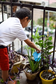Cute 5 year old Asian little boy is watering the plant in the pots located at house balcony, Love of sweet little boy for the mother nature during watering into plants, Kid Planting photo