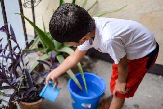 Cute 5 year old Asian little boy is watering the plant in the pots located at house balcony, Love of sweet little boy for the mother nature during watering into plants, Kid Planting photo