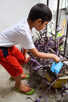 Cute 5 year old Asian little boy is watering the plant in the pots located at house balcony, Love of sweet little boy for the mother nature during watering into plants, Kid Planting photo