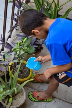 Cute 5 year old Asian little boy is watering the plant in the pots located at house balcony, Love of sweet little boy for the mother nature during watering into plants, Kid Planting photo