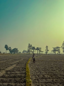Stepping into a world of quiet resilience, where the land whispers tales of perseverance. Witness the beauty of rural life, where every stride across the field holds a story untold. photo