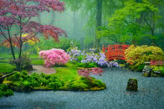 Japanese garden, Park Clingendael, The Hague, Netherlands photo