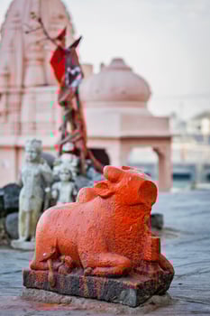 Nandi bull vehicle of Hindu god Shiva statue, Ujjain, Madhya Pradesh, India photo