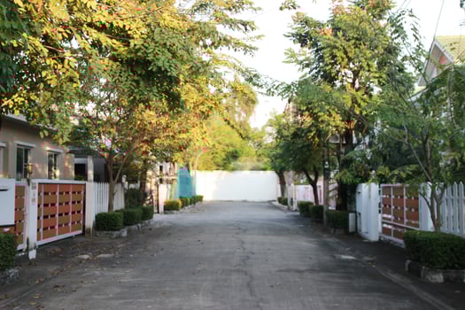 The road between house home Housing estate fences with tree and sky background photo