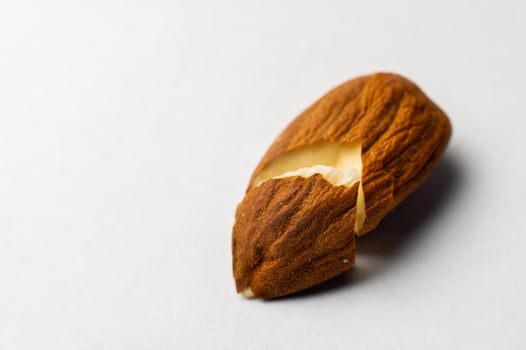 Close-up of one cracked almond seed on a white background photo