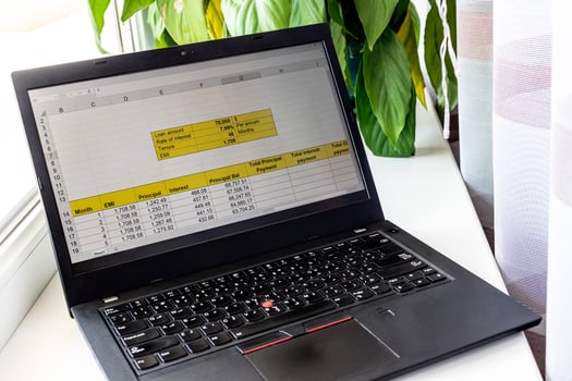 Shot of an excel sheet on computer screen showing bank loan amortization table. Accounting photo