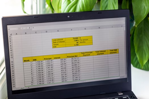 Shot of an excel sheet on computer screen showing bank loan amortization table. Accounting photo