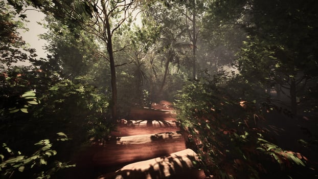 Walking along a foggy trail in the lush jungle photo