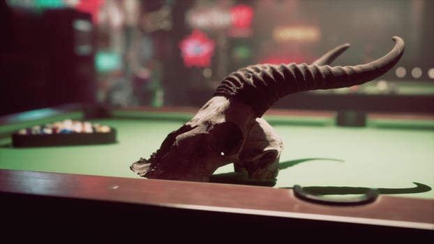 A fake animal skull on top of a pool table photo