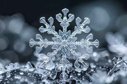 A close up of a snowflake on a black background photo