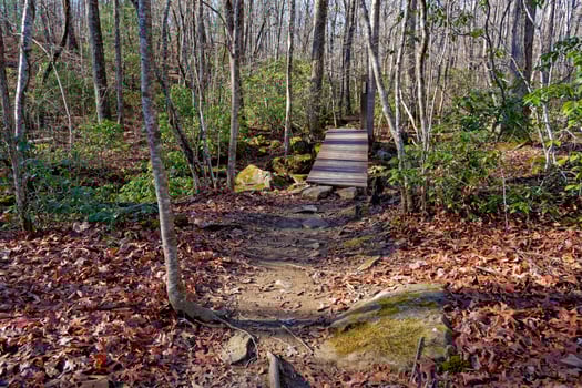 Wooden bridge over a creek photo