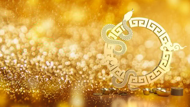 The year of snake for holiday concept 3d rendering. photo