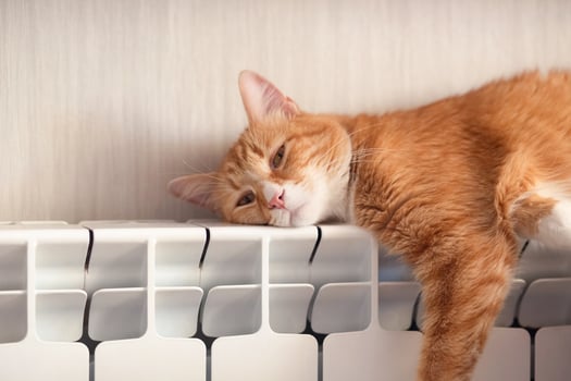 beautiful red cat lies on the battery. fluffy cat is heated on the radiator. warm batteries. Cold winter. warmth at home in cold winter photo