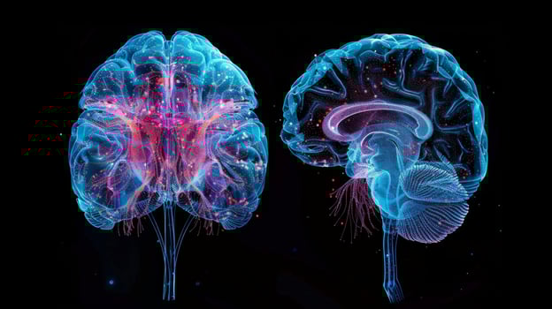 A comparison between a normal brain and a brain with reduced levels of growth factors highlighting the implications on neurodevelopment photo